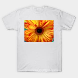 Crazy Daisy T-Shirt